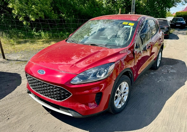 Ford Escape cena 59900 przebieg: 20253, rok produkcji 2020 z Kowary małe 191